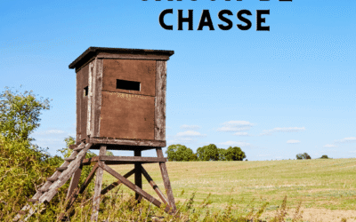 Chasses en battues