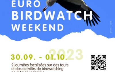 Euro Birdwatch & Chantiers nature