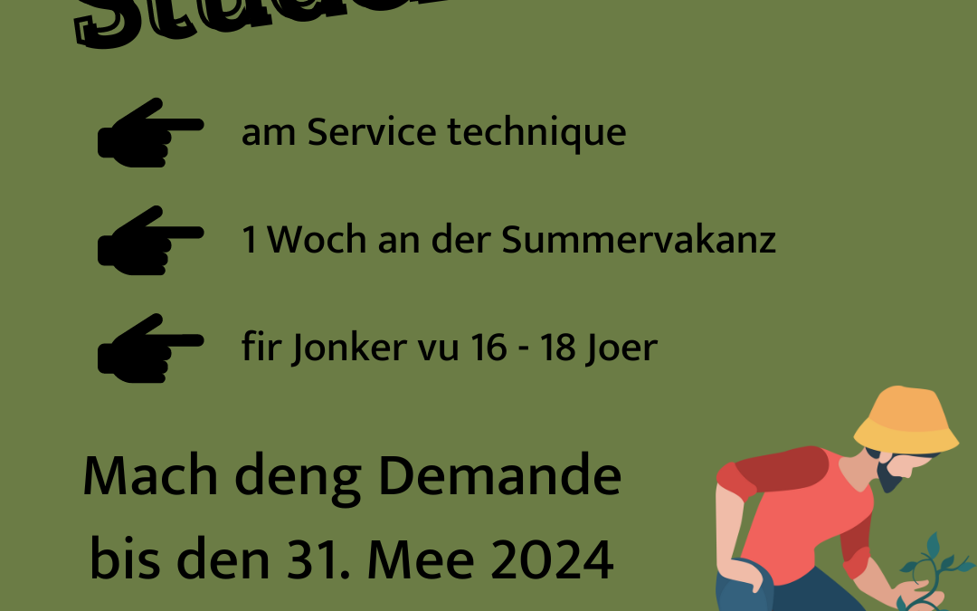 Jobs d’étudiant – vacances d’été 2024
