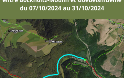 N27 barrée – adaptation des lignes 147 et P04