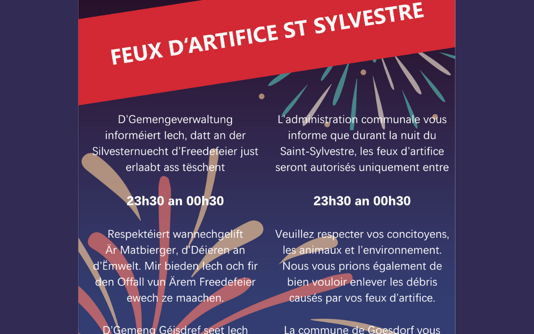 Feux d’artifice St Sylvestre