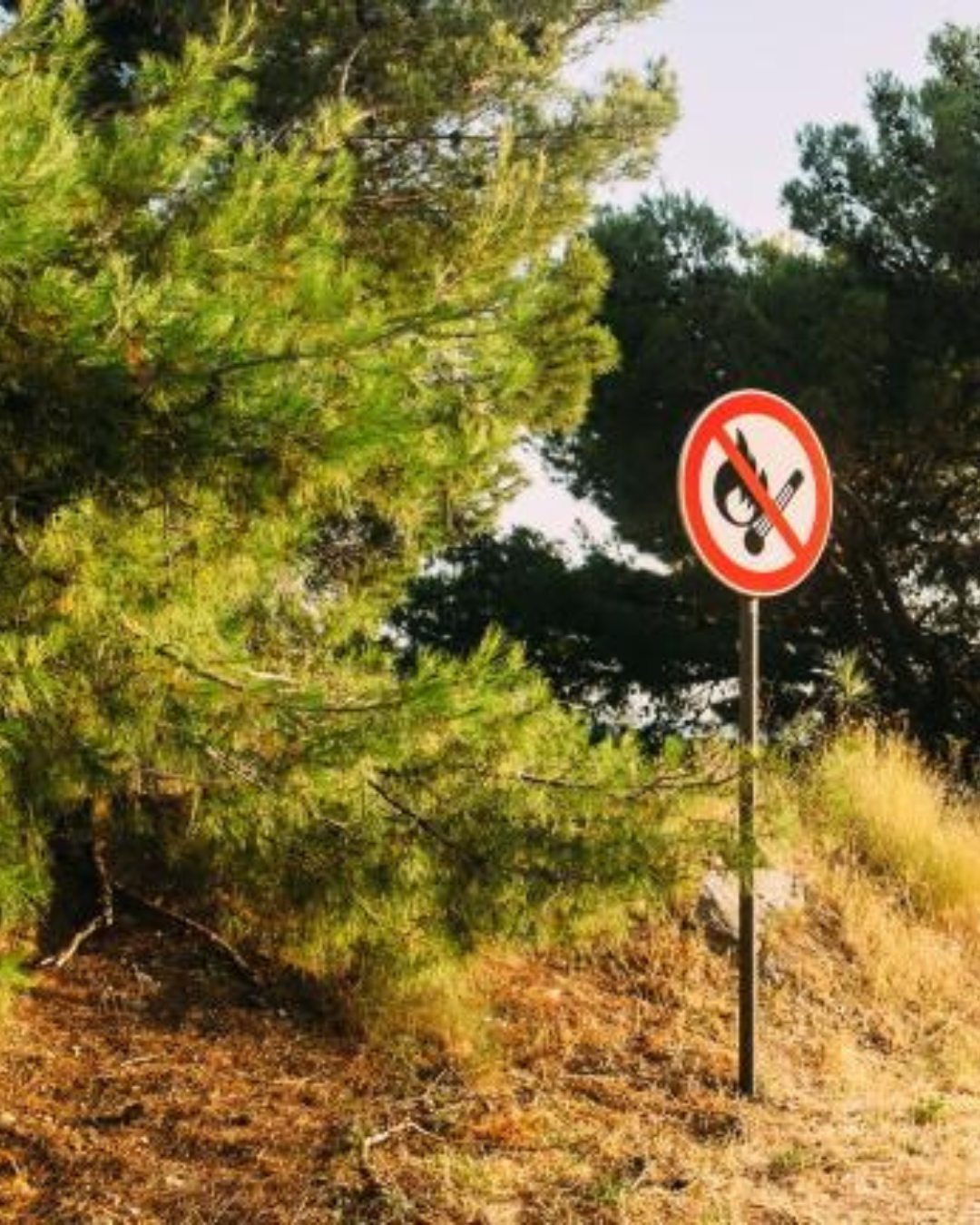Interdiction temporaire des feux et barbecues sur les terrains publics