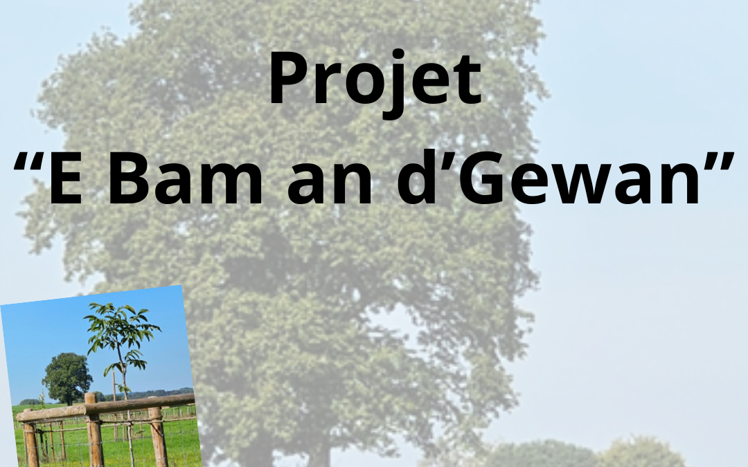 E Bam an d&rsquo;Gewan