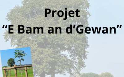E Bam an d&rsquo;Gewan