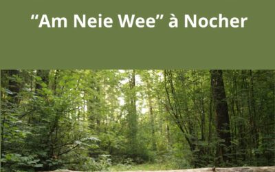 Route barrée « am neie Wee » à Nocher